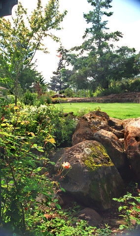 Water Conserving Gardens & Xeriscape by Gardens Of The Wine Country - Photo 2