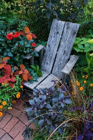 outdoor seating chairs by HouseWurks - Photo 2