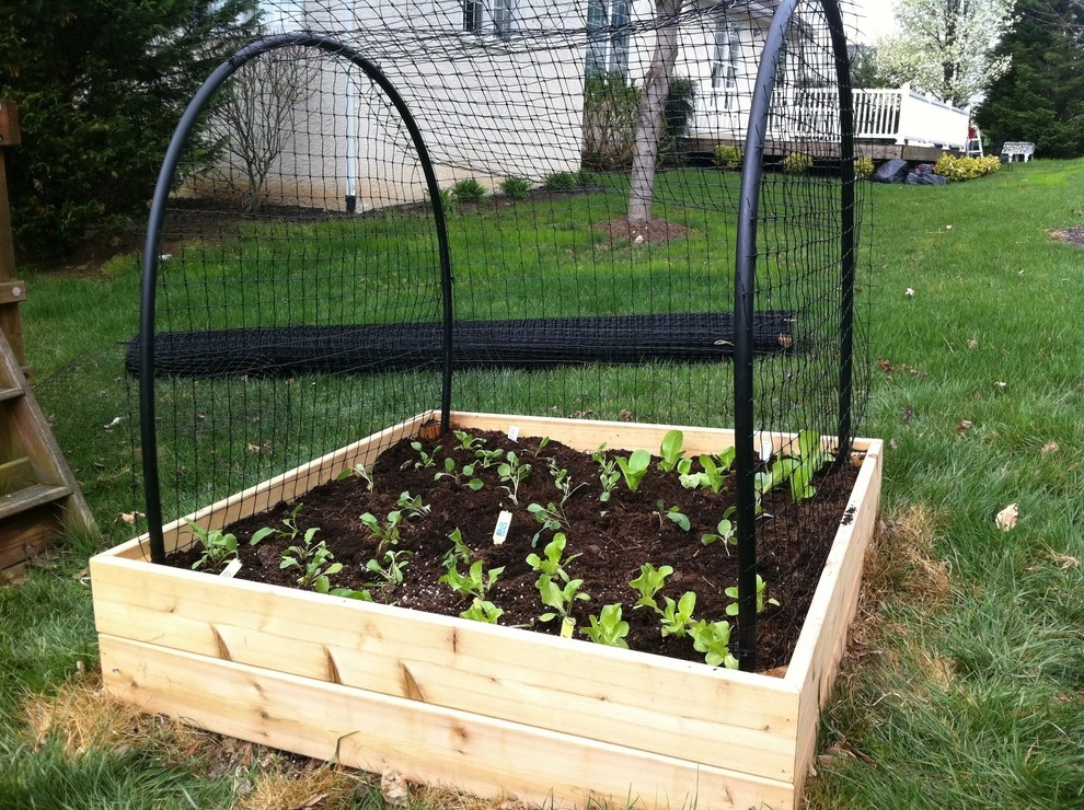 Garnet Valley Farms - Photo 10