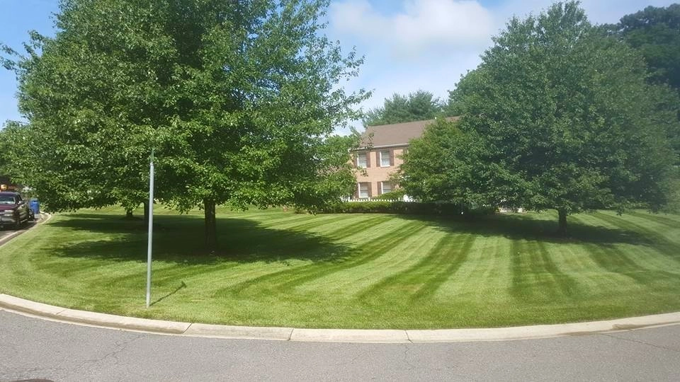 Our Work by Garnet Valley Farms - Photo 3