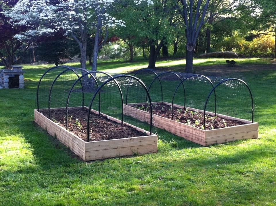Vegetable Gardens by Garnet Valley Farms - Photo 3