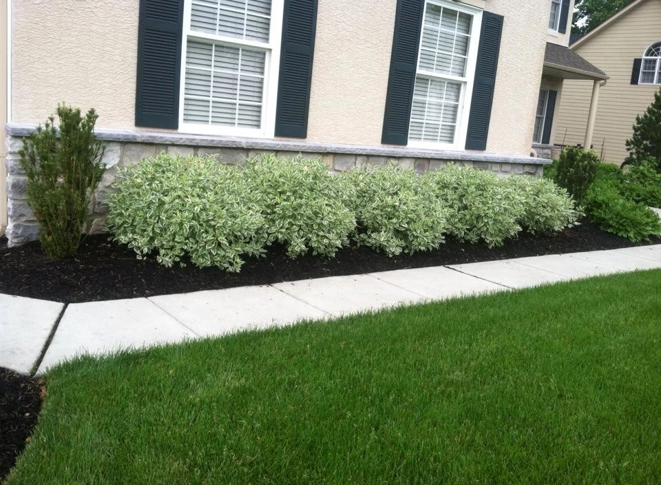 Walls & Walkways by Garnet Valley Farms - Photo 2