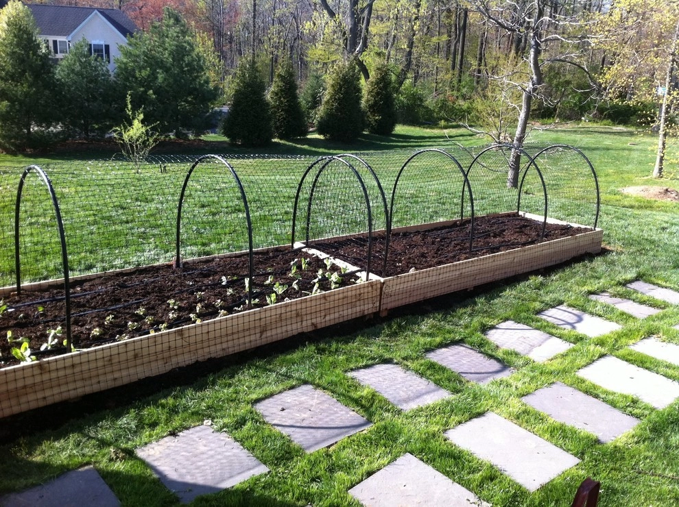 Vegetable Gardens by Garnet Valley Farms - Photo 2