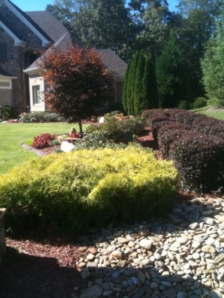 Georgia Horticulture - Photo 11