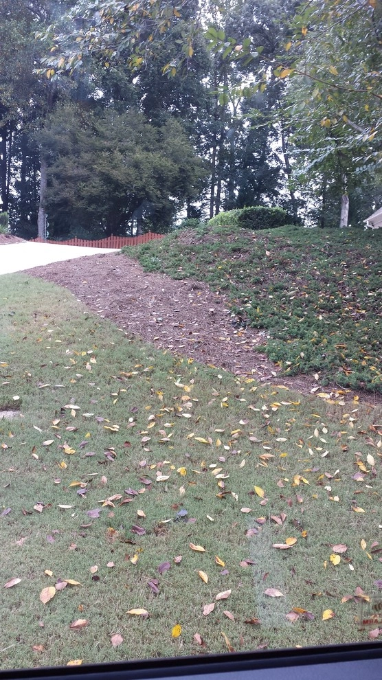 Georgia Horticulture - Photo 3