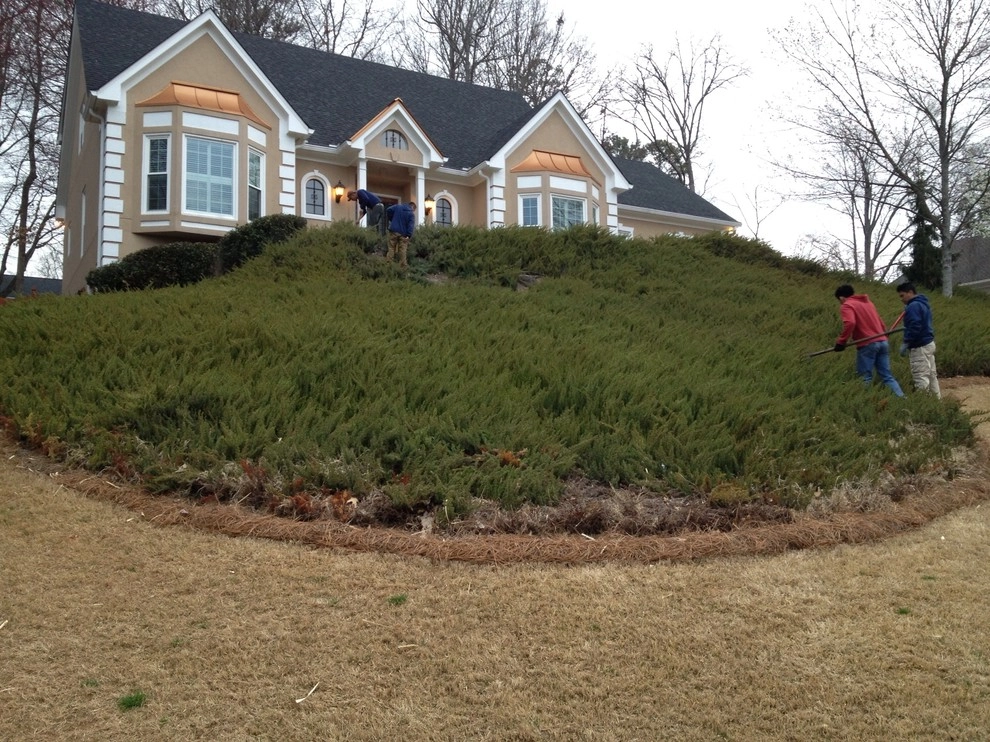 Georgia Horticulture - Photo 10