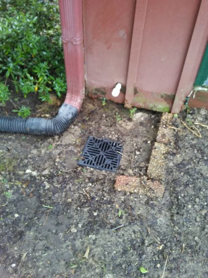 Lizards Business Venture, LLC - Photo 12