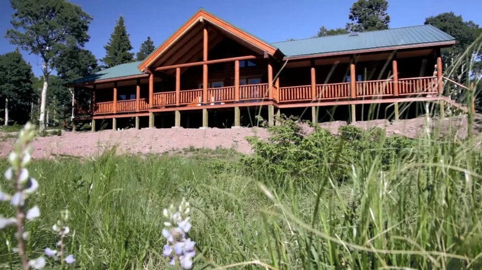 Mountain View Real Log Homes - Photo 3