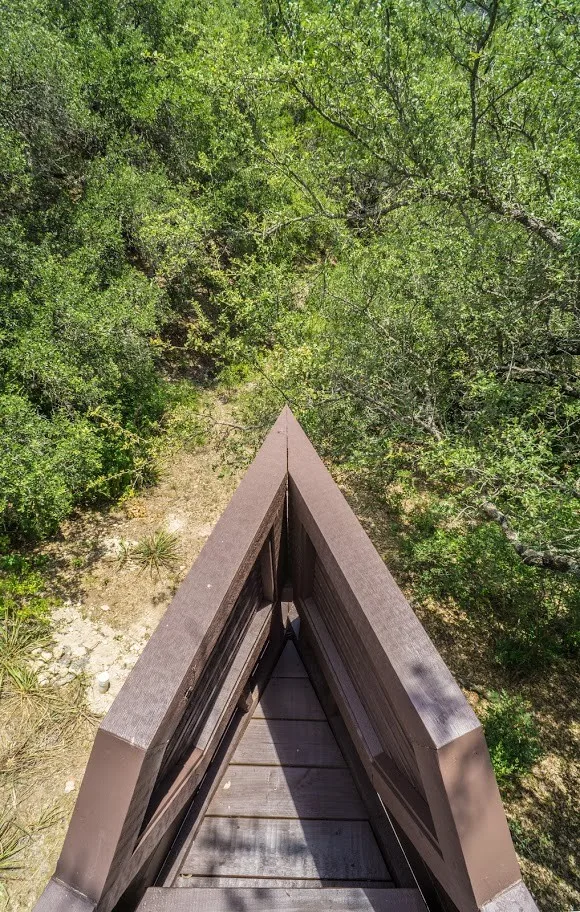 Long Canyon Deck Renovation and Staining by Capitol City Wood Works LLC - Photo 10