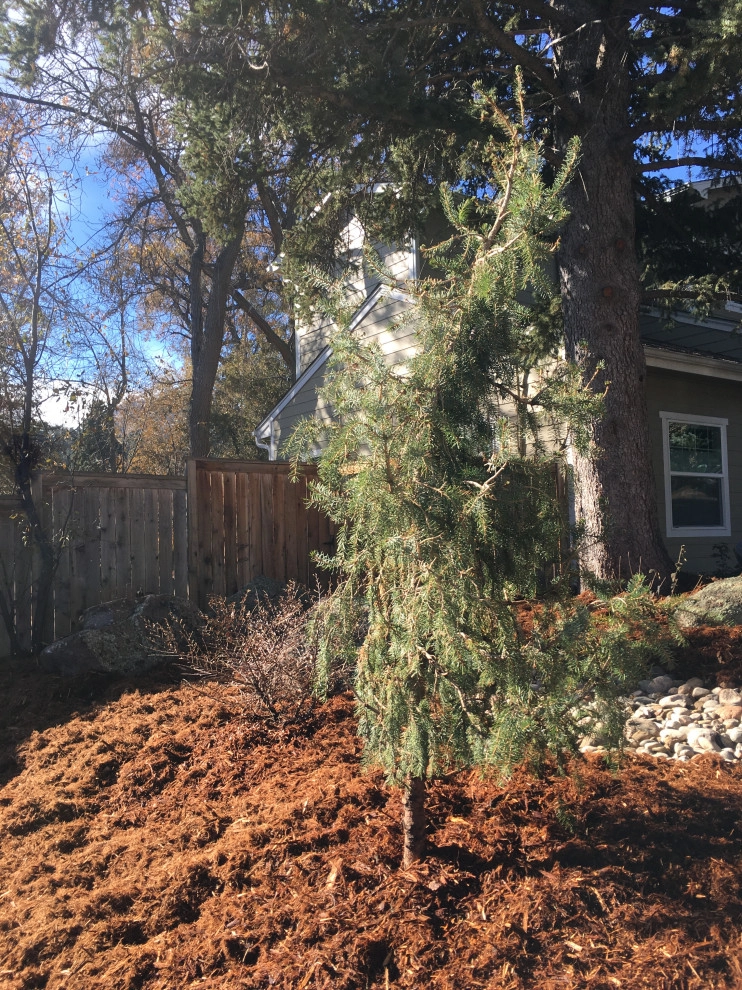 SOUVIGNIER 2020 by Glacier View Landscape & Design, Inc. - Photo 7