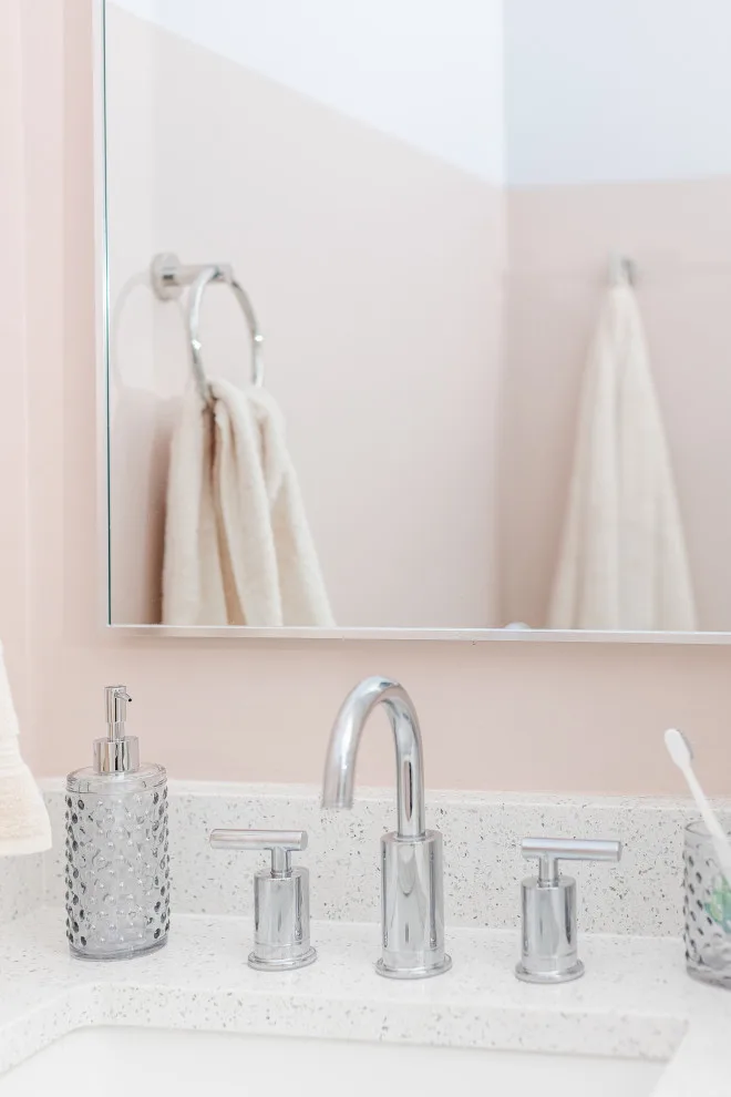 Adore It or Abandon It Pink Bathroom Makeover by Mae Reedy Build + Design - Photo 16