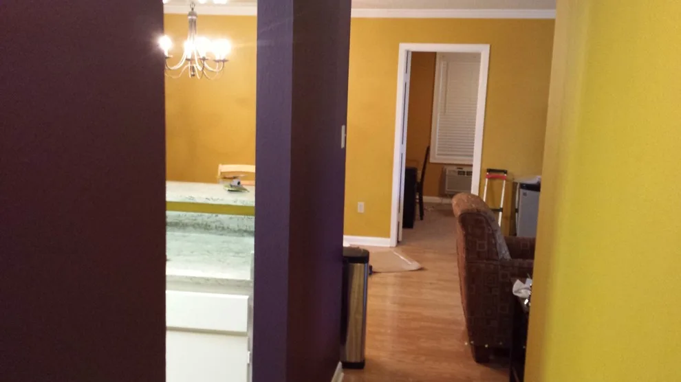 LSU Supporters Lounge by WLC Pressure Washing & Services - Photo 10