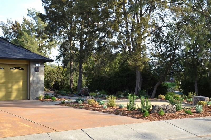 Bel Marin Keys by GLI Norcal Landscape Construction - Photo 10