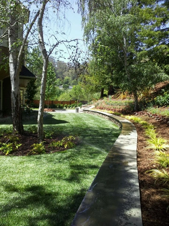 San Rafael by GLI Norcal Landscape Construction - Photo 2