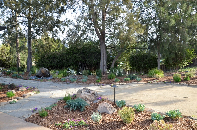 Bel Marin Keys by GLI Norcal Landscape Construction - Photo 11
