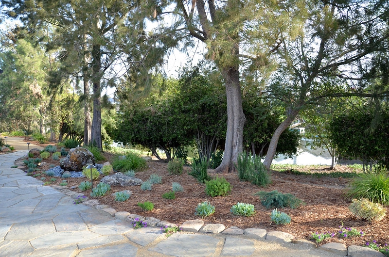 Bel Marin Keys by GLI Norcal Landscape Construction - Photo 17