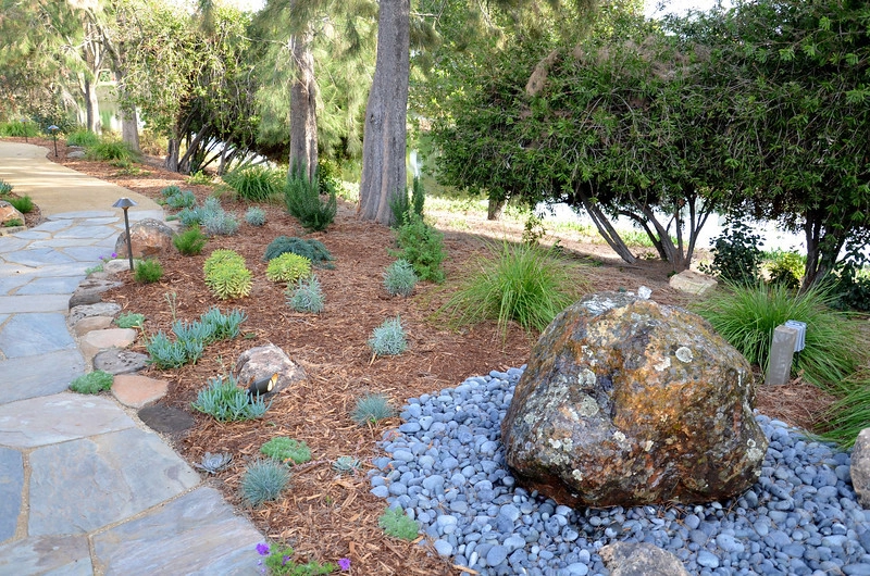 Bel Marin Keys by GLI Norcal Landscape Construction - Photo 18