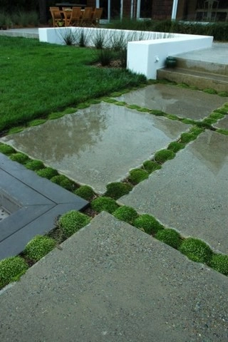 Tiburon 2 by GLI Norcal Landscape Construction - Photo 2