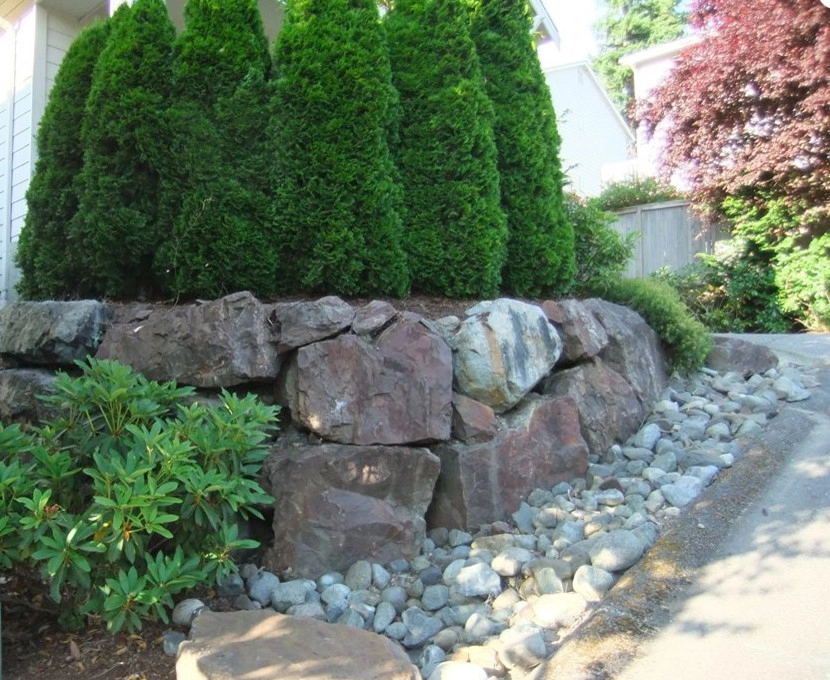 GoGreen Landscaping LLC - Photo 13