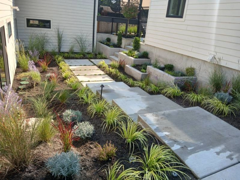 GoGreen Landscaping LLC - Photo 5