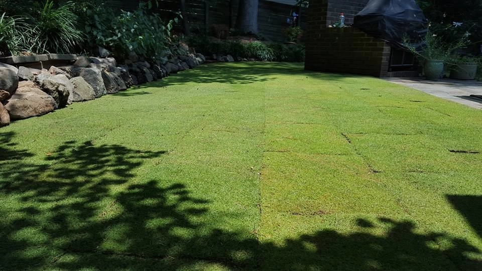 Going Green Lawn Care & Landscaping - Photo 9