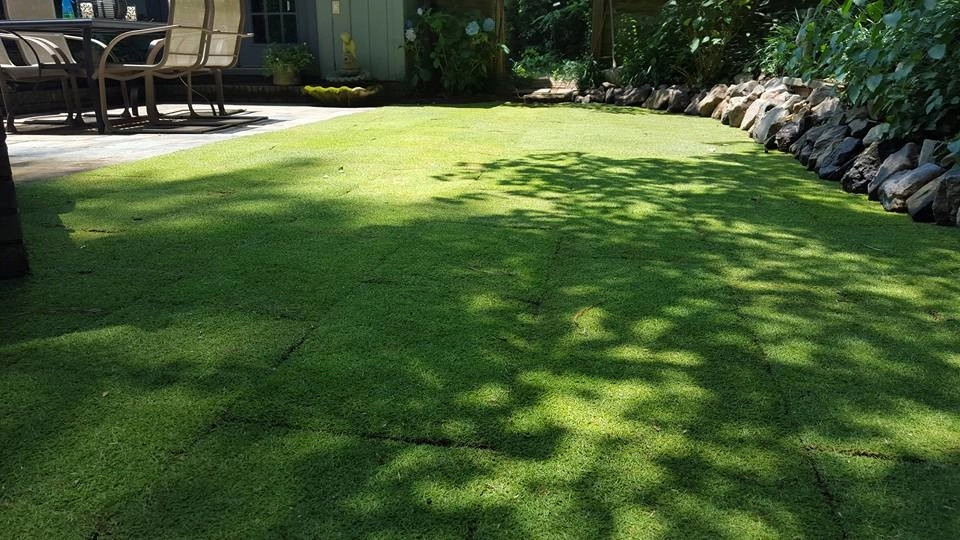 Going Green Lawn Care & Landscaping - Photo 7