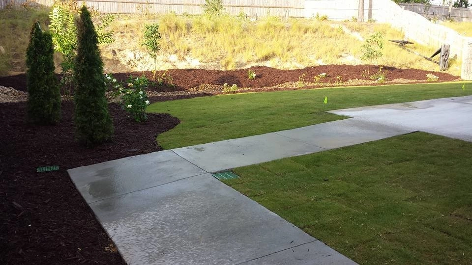 Going Green Lawn Care & Landscaping - Photo 11
