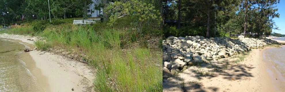 Project Before & After Pictures by LandTechwmi LLC - Photo 48