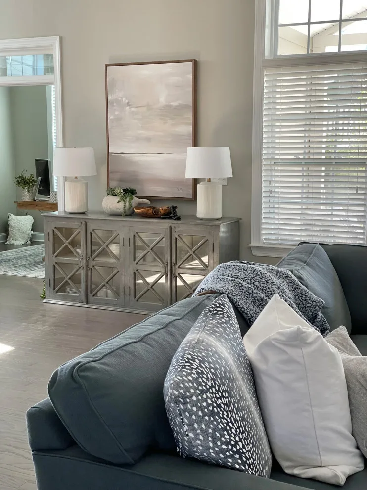 Home Renovation by Melissa Rieser Interiors - Photo 4