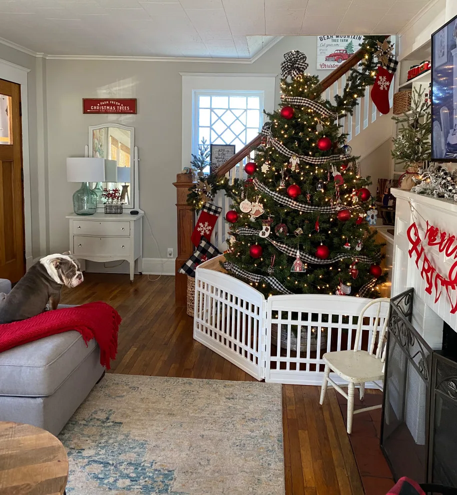 Holiday Styling by Deborah Roides Interior Design - Photo 5