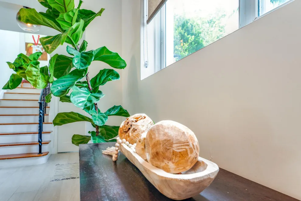 Zen in Miami Beach by Vivian Macia Interiors LLC - Photo 2