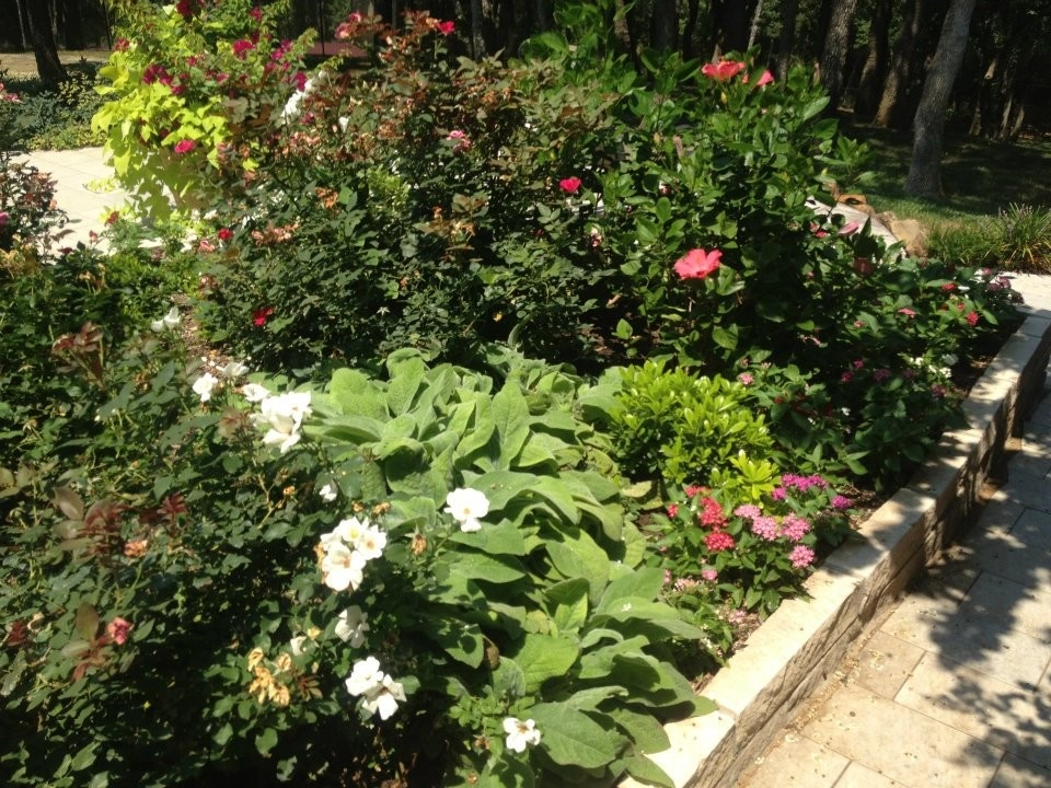 Our Work by Grassperson Lawn Care & Landscape - Photo 10