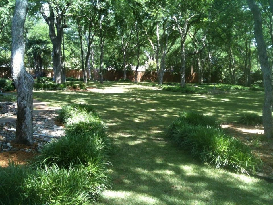 Grassperson Lawn Care & Landscape - Photo 2