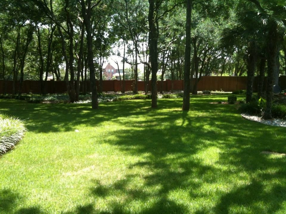 Grassperson Lawn Care & Landscape - Photo 12