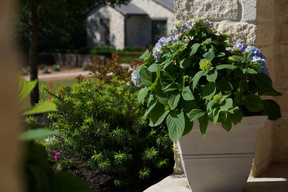 Custom Landscaping by Graves Landscape & Outdoor Living - Photo 4