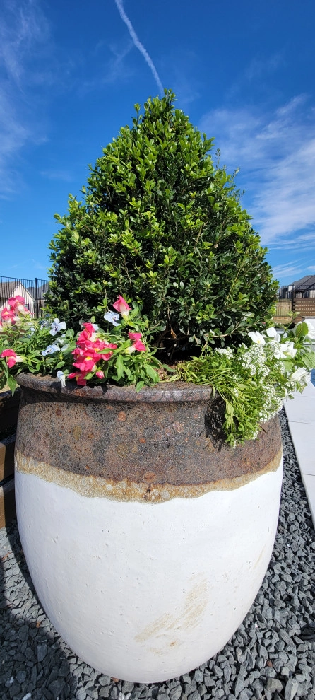 Breezy Hill Modern Landscape by Graves Landscape & Outdoor Living - Photo 4