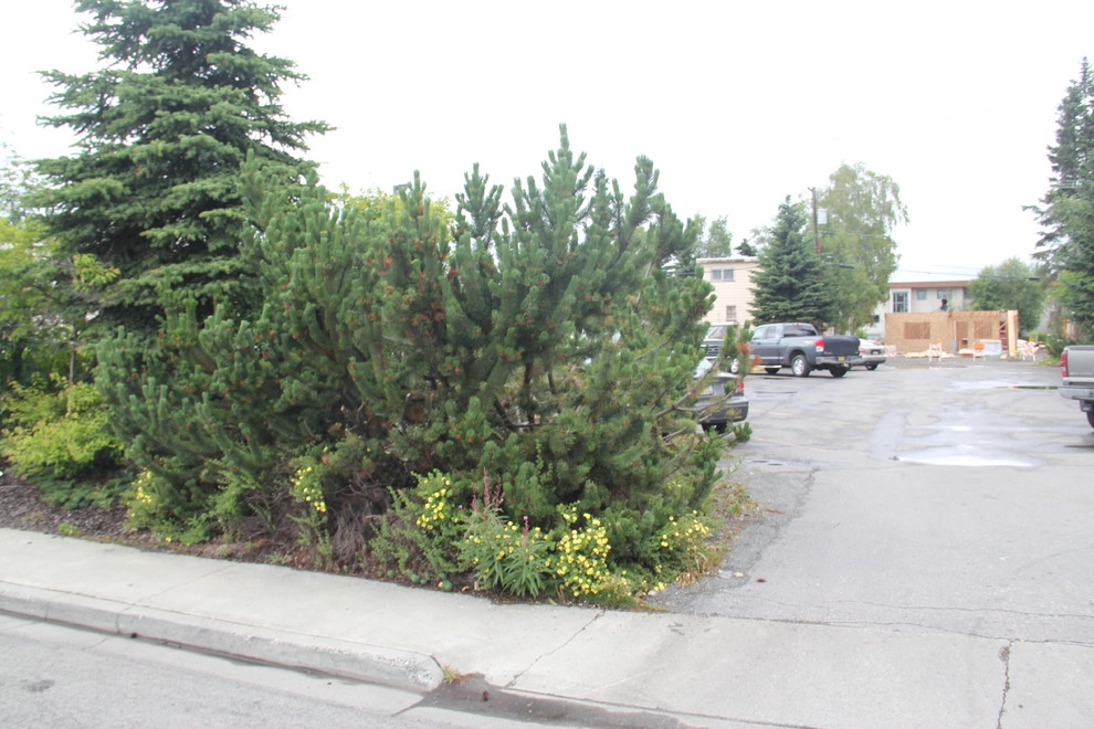 Green Acres Landscaping & Aquascapes - Photo 11