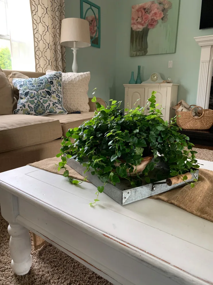 Shoreline Lifestyle by Many Mustard Seeds Interiors - Photo 6