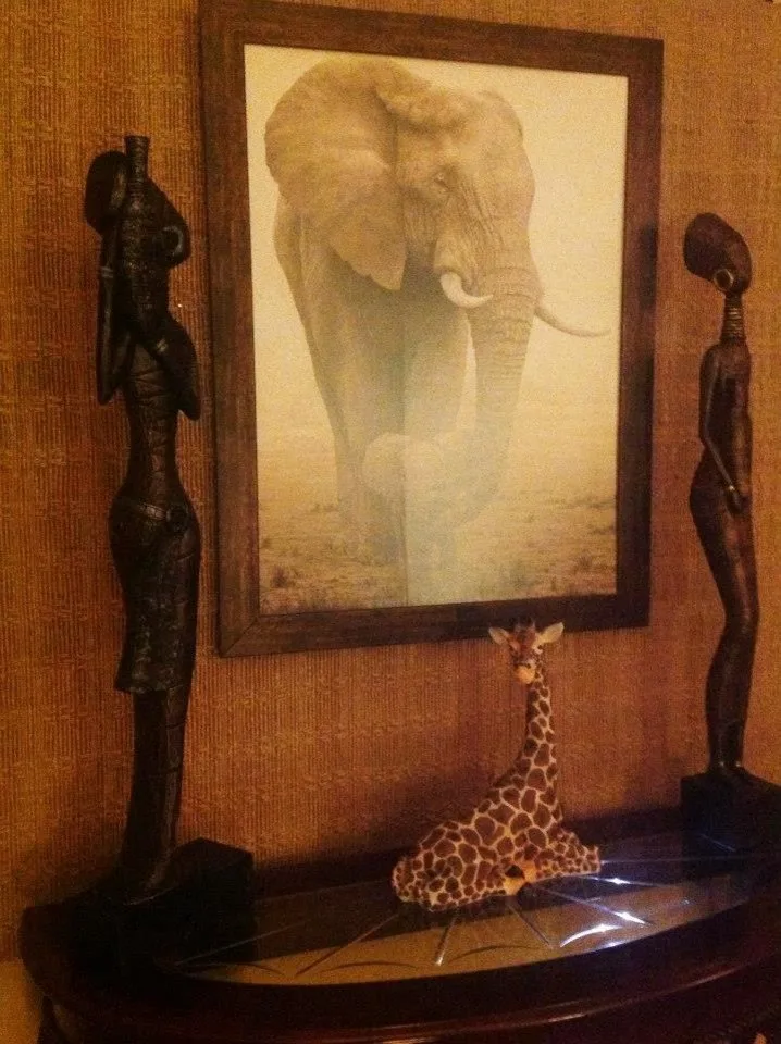 African Inspired Living Room (Maumee, Ohio) by Divine Interiors - Photo 3