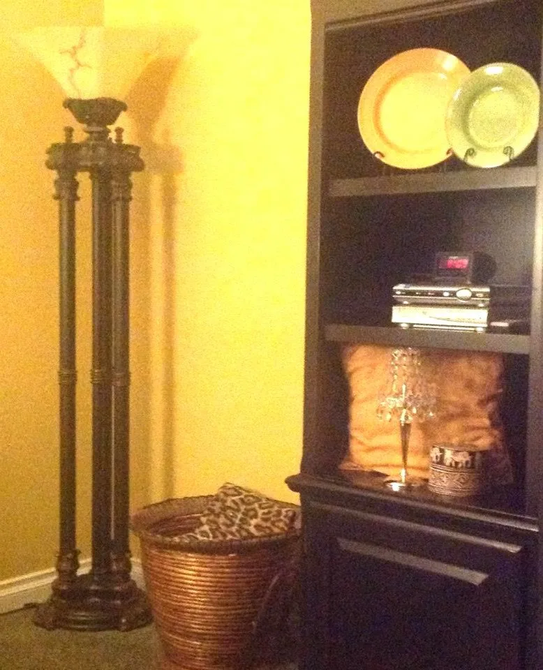 African Inspired Living Room (Maumee, Ohio) by Divine Interiors - Photo 2