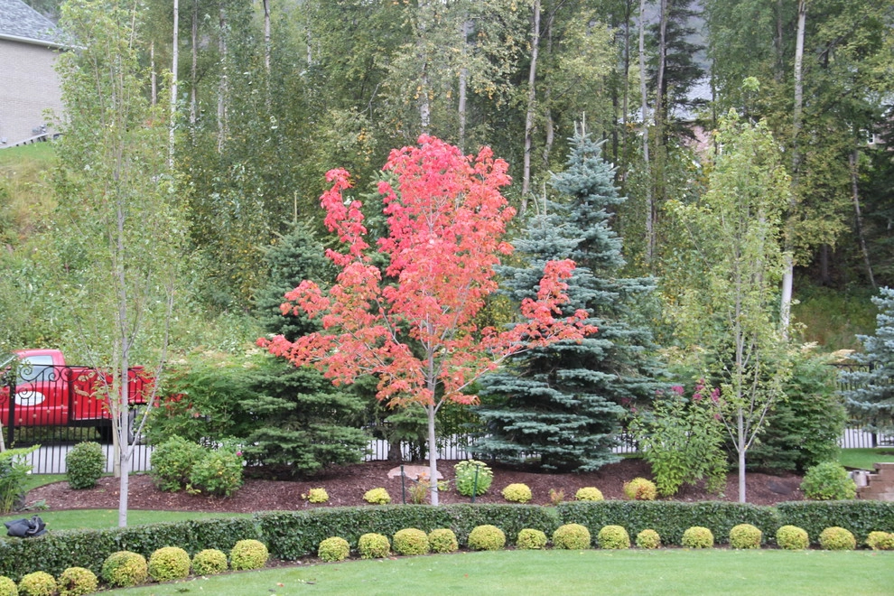 Privacy Screening solutions by Green Acres Landscaping & Aquascapes - Photo 11