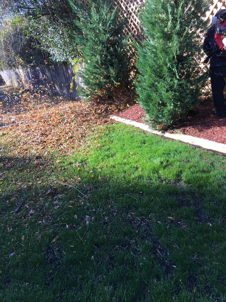 Cranford NJ by Green Acres Landscaping, Design, Irrigation & Con - Photo 76