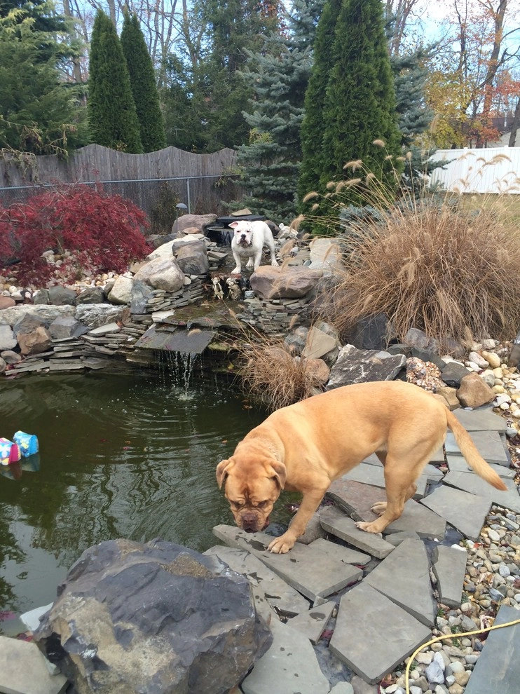 PONDS by Green Acres Landscaping, Design, Irrigation & Con - Photo 4