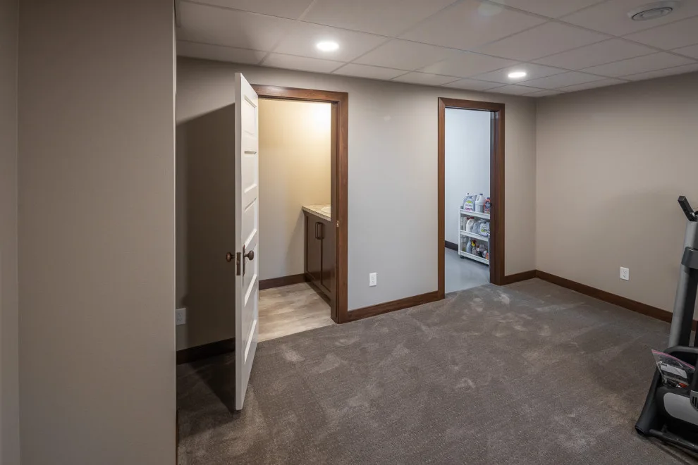 Basement Barn Door by Studio A - Photo 9