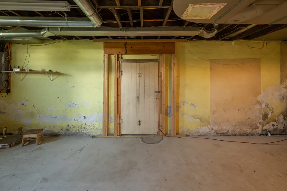 Basement Barn Door by Studio A - Photo 45