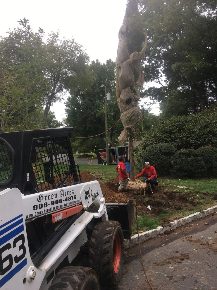Cranford NJ by Green Acres Landscaping, Design, Irrigation & Con - Photo 72
