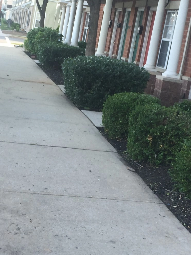 Cranford NJ by Green Acres Landscaping, Design, Irrigation & Con - Photo 38