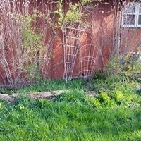 Lawn Care by Green Acres Lawn Care And Landscaping Group, Inc. - Photo 3