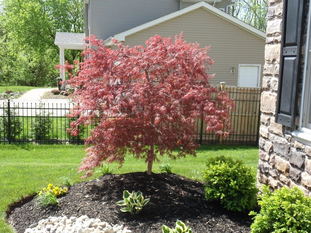 Culbreath by Green Acres Nursery & Garden Center - Photo 4