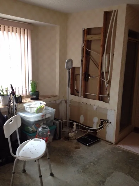 Before vs After by Michael Taylor Interiors - Photo 4